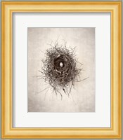 Nest I Fine Art Print