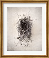 Nest II Fine Art Print