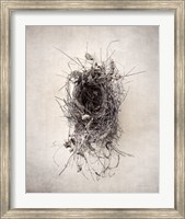 Nest II Fine Art Print
