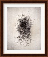 Nest II Fine Art Print