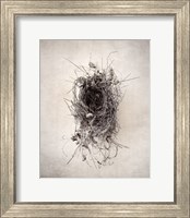 Nest II Fine Art Print