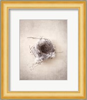 Nest III Fine Art Print