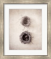 Nest IV Fine Art Print