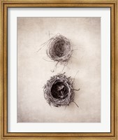 Nest IV Fine Art Print