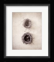 Nest IV Framed Print