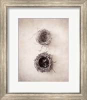 Nest IV Fine Art Print