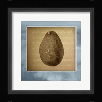 Avocado in Three 01 Fine Art Print