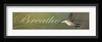 Breathe Fine Art Print
