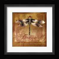 Dragonfly II Framed Print