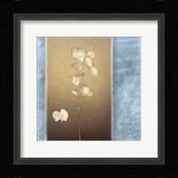 Lunaria I Framed Print