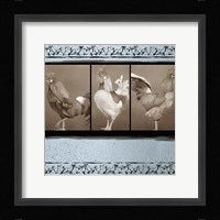 Rooster Ware Aqua III Framed Print