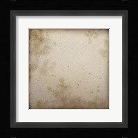 Combshell II Framed Print