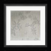 Echinacea II Framed Print