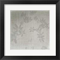 Echinacea II Fine Art Print