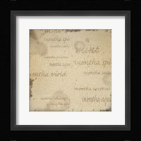 Mint II Framed Print