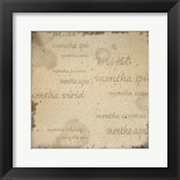 Mint II Framed Print