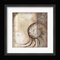 Nautalis I Framed Print