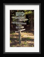 Oh The Places You Will Go Fine Art Print