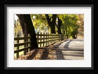 Roadside Fence Fine Art Print
