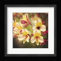 Busy Bee Fine Art Print