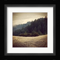 Diverging Paths 2 Fine Art Print