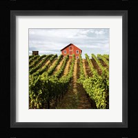 Dry Creek Barn Fine Art Print