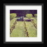 Green Truck Fine Art Print