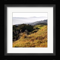 Hilltop Vista Fine Art Print