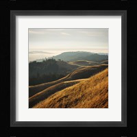 Marin Hills Fine Art Print