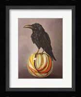 Crow On A Marble Fine Art Print