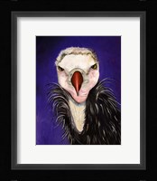 Baby Vulture Fine Art Print