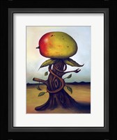Mango Fruit Tree Framed Print