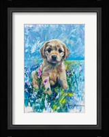 Cocker Spaniel Puppy Love Framed Print
