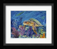 Loggerhead Turtle Framed Print