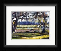 Lowcountry Spanish Moss Escape Fine Art Print