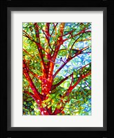 Summer Medley Fine Art Print