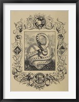 Serpent Fine Art Print
