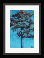 Tall Pine, Blue Sky, Julington Durbin Preserve Series Fine Art Print