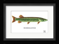 Muskellunge Fine Art Print