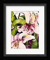 Luminous Lilies Fine Art Print