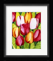 Tulip Time Fine Art Print