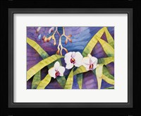 Water Orchids Fine Art Print