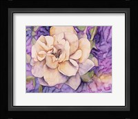 Yellow Rose Fine Art Print