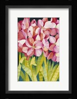 Merry Amaryllis Fine Art Print