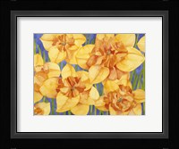 Yellow Daffodils Fine Art Print
