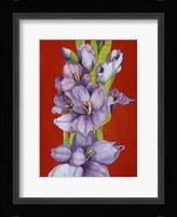 Glad Tidings Fine Art Print