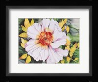 New Poppy Fine Art Print