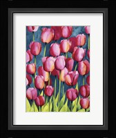 Pink Tulips Fine Art Print