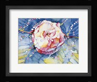 Essence Rose Fine Art Print