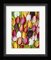 Colorful Tulips Fine Art Print